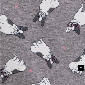 NWT🌼TORRID Love pups sexy brief plus undies panties sz 0